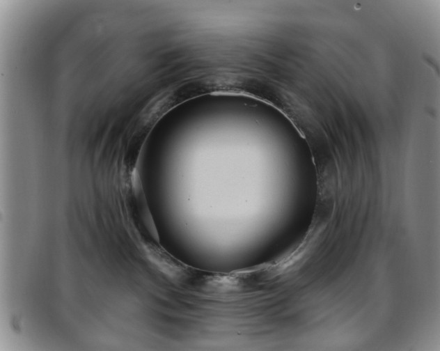 X0000097750140200803141605