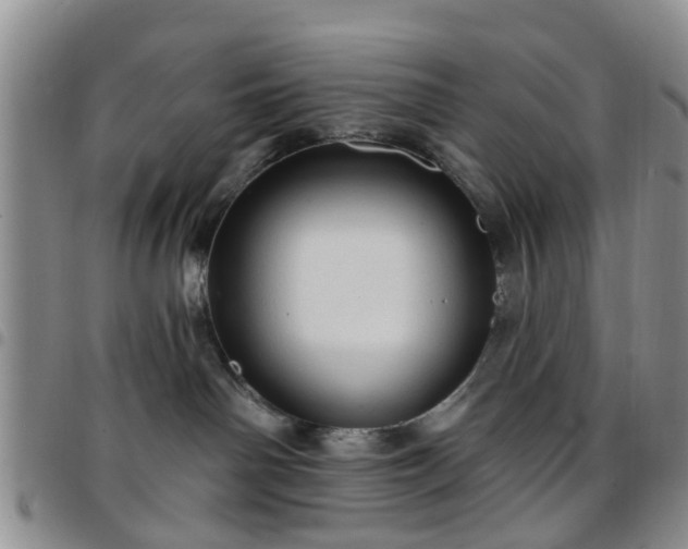 X0000097750142200803141605