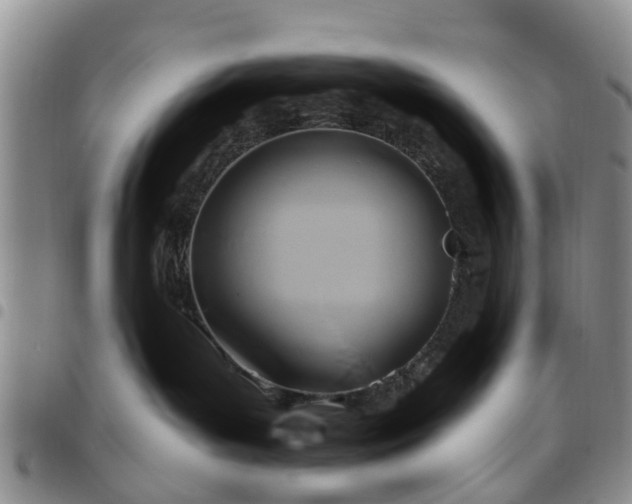 X0000097750143200803141605