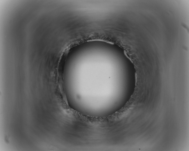 X0000097750144200803141605