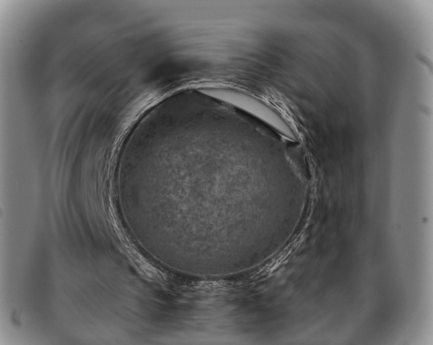 X0000097750145200803141604