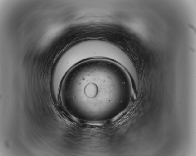 X0000097750146200803141604