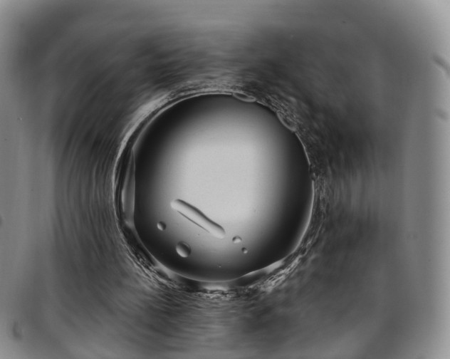 X0000097750148200803141604