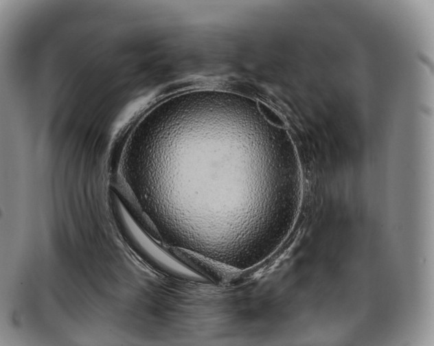 X0000097750149200803141604