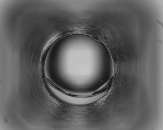 X0000097750150200803141604