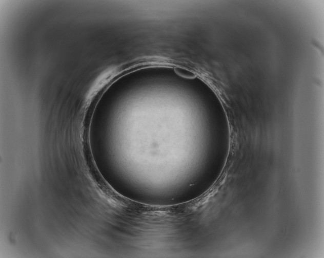 X0000097750151200803141604