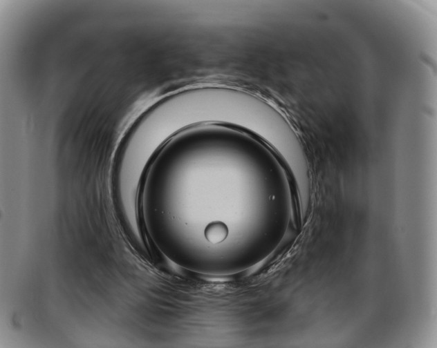 X0000097750152200803141604