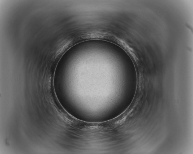 X0000097750153200803141604