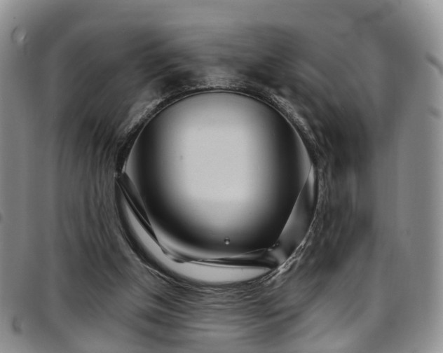 X0000097750154200803141604