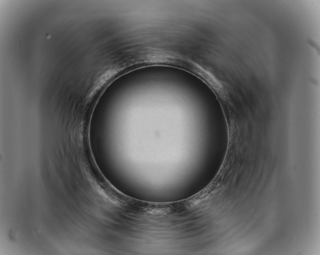 X0000097750155200803141604