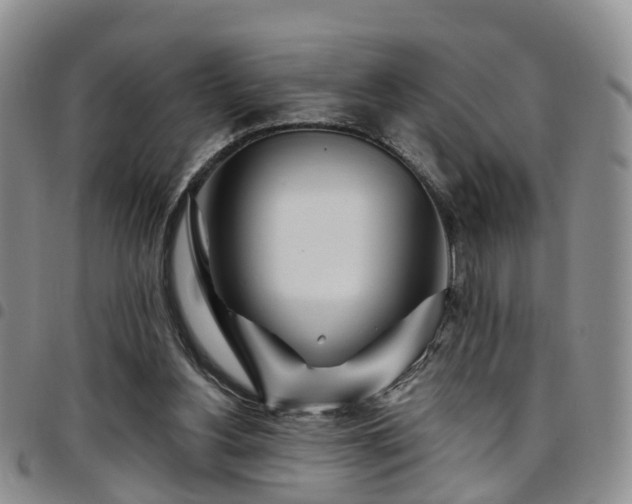 X0000097750156200803141604