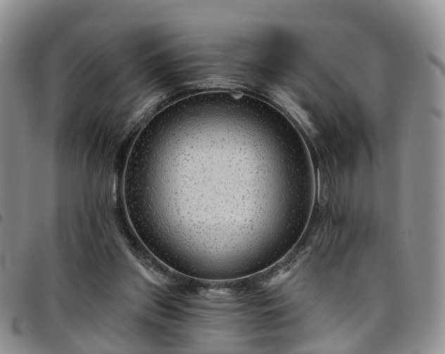 X0000097750157200803141604