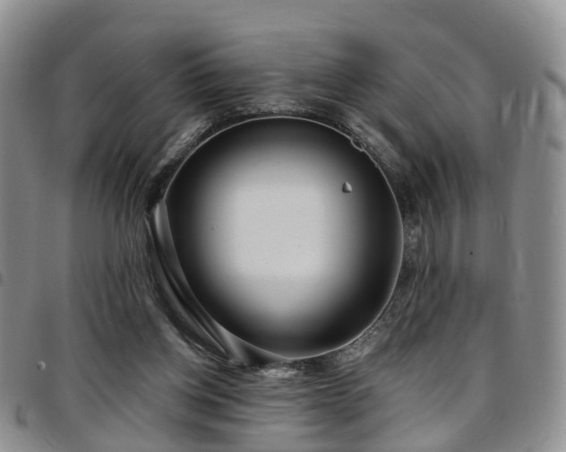 X0000097750158200803141604