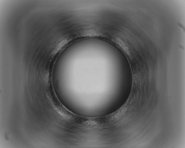 X0000097750159200803141604