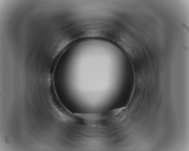 X0000097750160200803141604