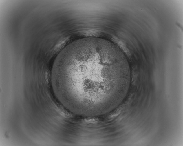 X0000097750161200803141604