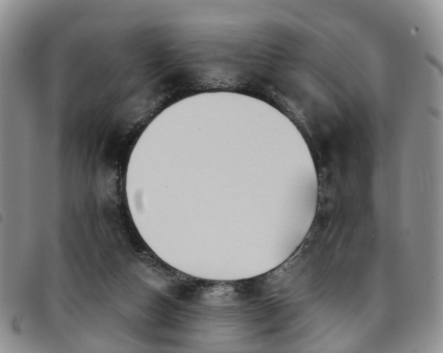 X0000097750162200803141604