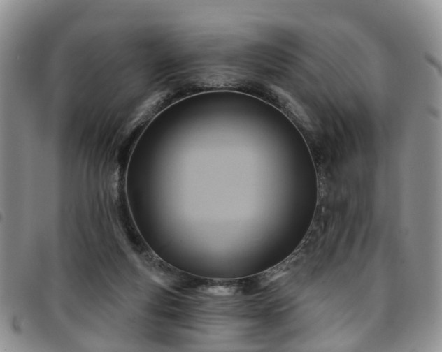 X0000097750163200803141604