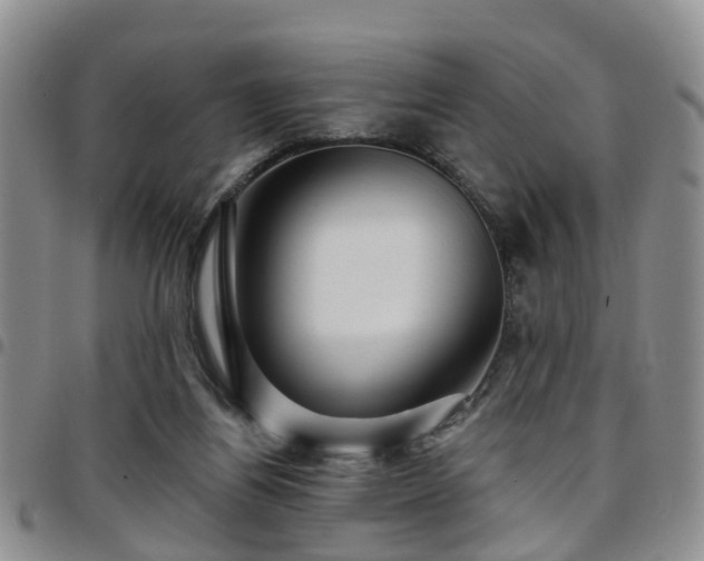 X0000097750164200803141604