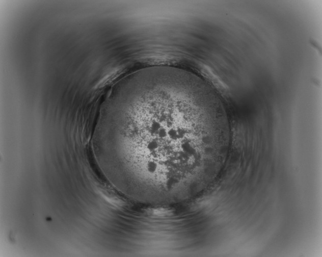 X0000097750165200803141604