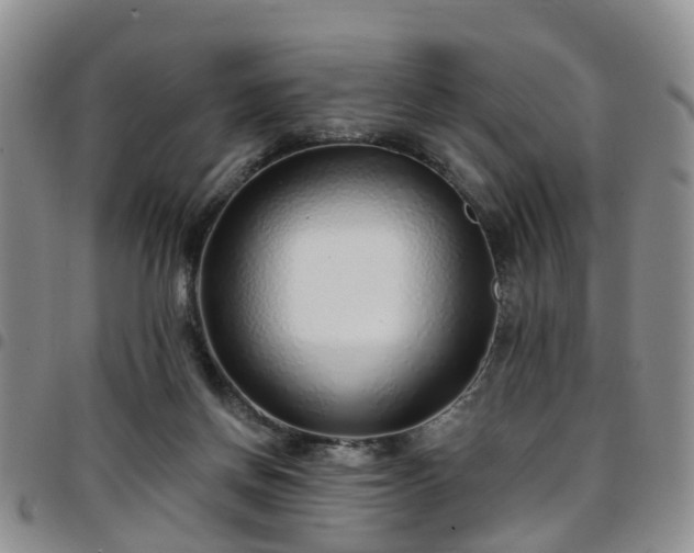 X0000097750166200803141604