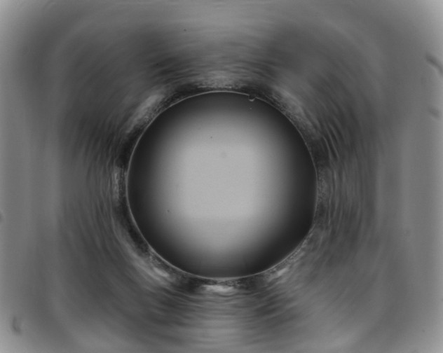 X0000097750167200803141604