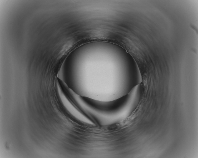 X0000097750168200803141604