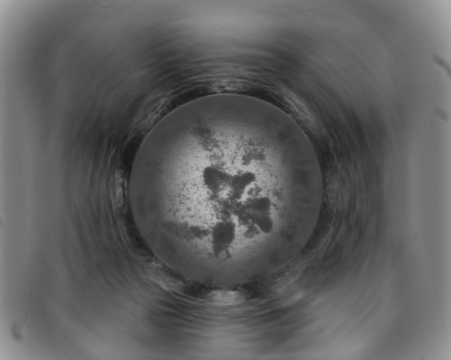 X0000097750169200803141604