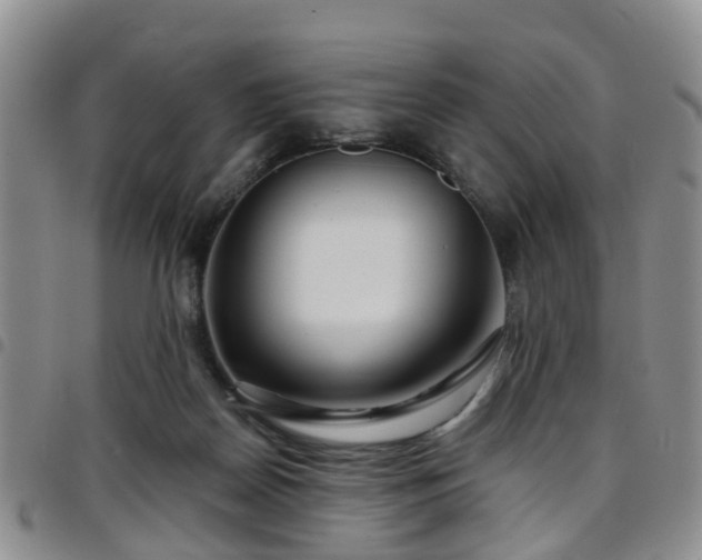 X0000097750170200803141604