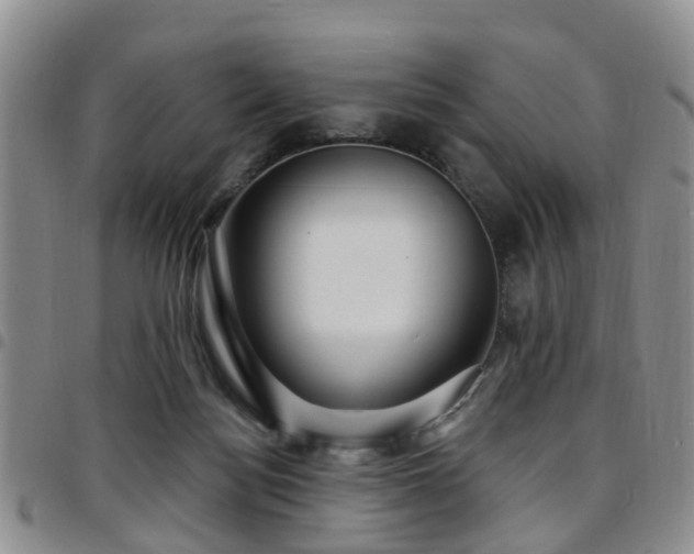 X0000097750172200803141604