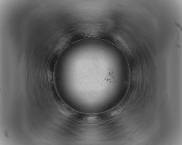 X0000097750173200803141604