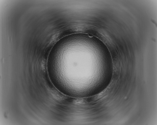 X0000097750175200803141605