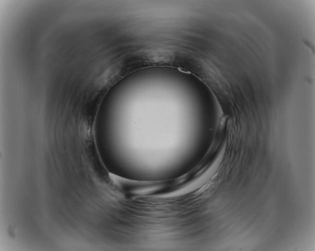 X0000097750176200803141605