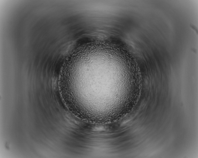 X0000097750177200803141605