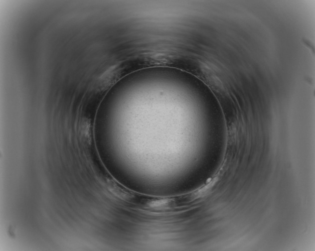 X0000097750178200803141605