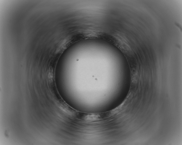 X0000097750179200803141605