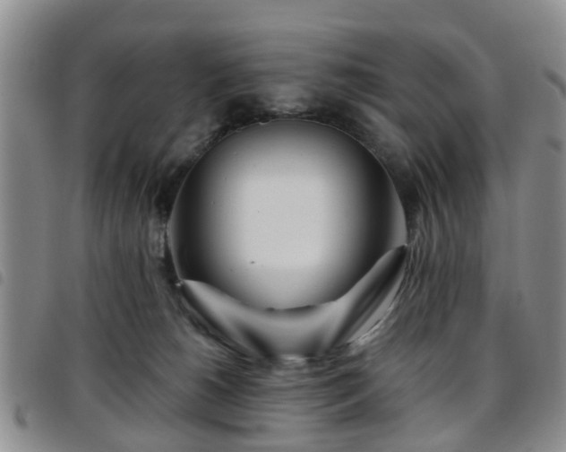 X0000097750180200803141605