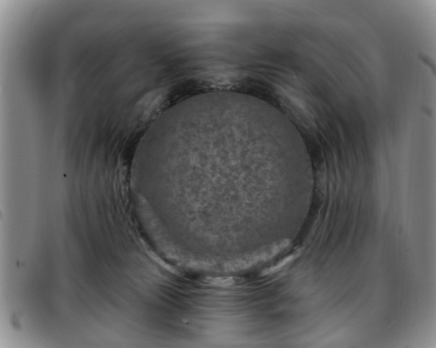 X0000097750181200803141605