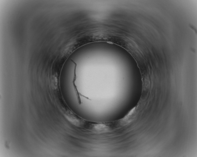 X0000097750183200803141605