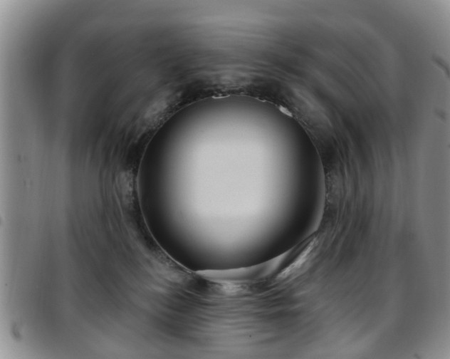 X0000097750184200803141605