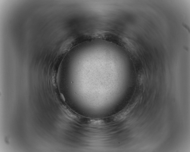 X0000097750185200803141605