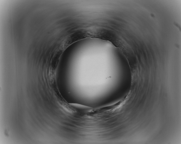 X0000097750186200803141605