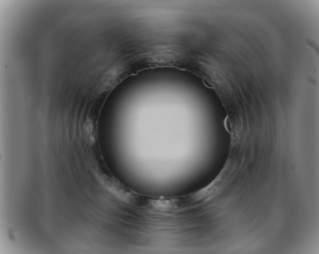 X0000097750187200803141605