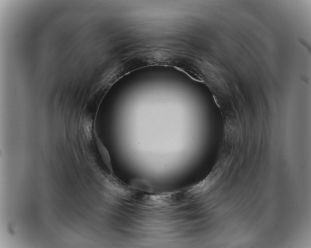 X0000097750188200803141605