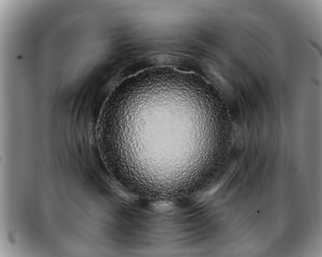 X0000097750189200803141605