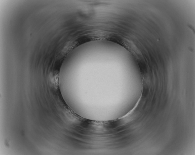 X0000097750190200803141605