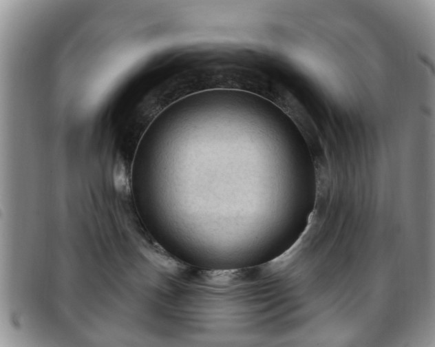 X0000097750191200803141605