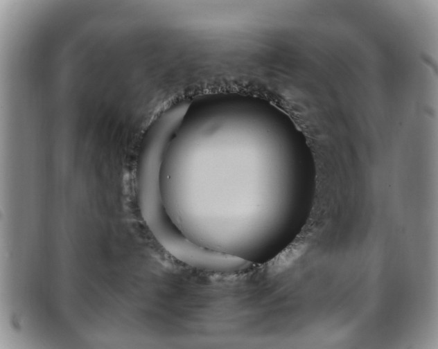 X0000097750192200803141605