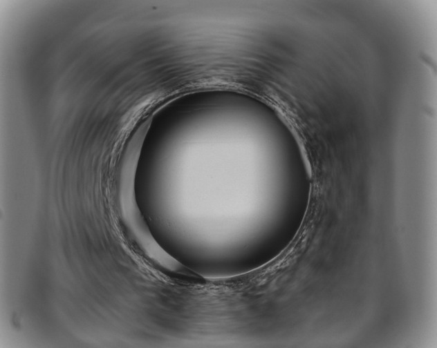 X0000097750193200803141604