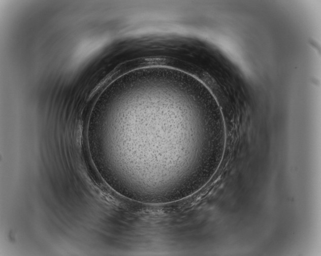 X0000097750194200803141604